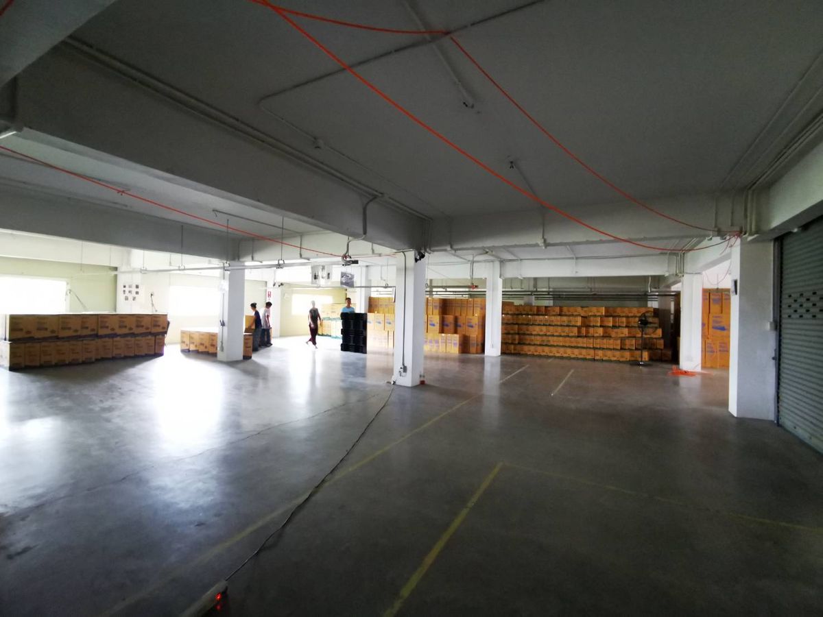 ขายโรงงานอ่อนนุช อุดมสุข : ขายโกดังพร้อมอาคารสำนักงาน ติดถนนอ่อนนุช 49 โอกาสดีสำหรับนักลงทุน!