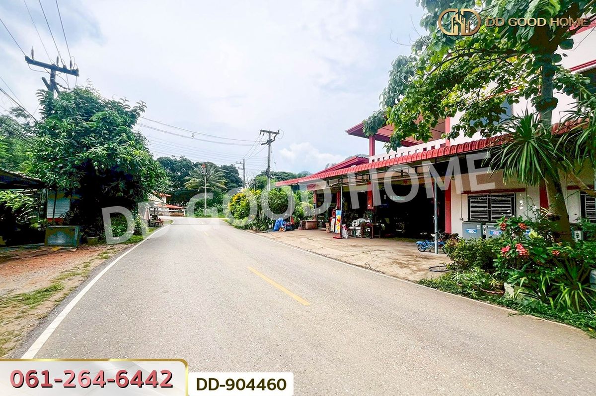 ขายที่ดินโคราช นครราชสีมา : DD-904460 ที่ดินปากช่อง 2 ไร่ 164 ตร.ว. นครราชสีมา ใกล้วัดซับใต้