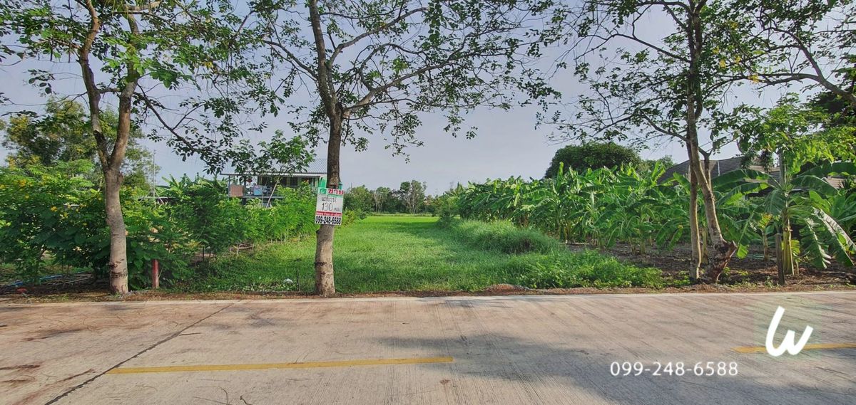 ขายที่ดินปทุมธานี รังสิต ธรรมศาสตร์ : ขายที่ดิน คลอง10 หนองเสือ ซอยเทศบาล 8 (ซอยผู้ว่า) ขนาด 130 ตรว. เหมาะปลูกบ้าน