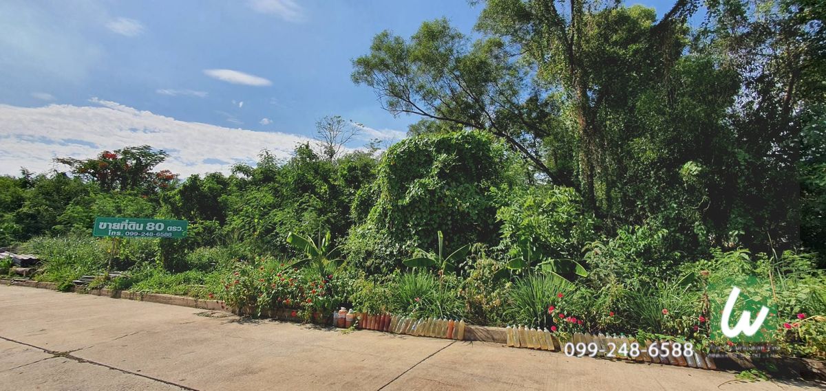 ขายที่ดินปทุมธานี รังสิต ธรรมศาสตร์ : ขายที่ดินเปล่า หมู่บ้านสีวลี 1 รังสิต-นครนายก คลอง2 พื้นที่ 80 ตรว. ขายต่ำกว่าประเมิน!!  
