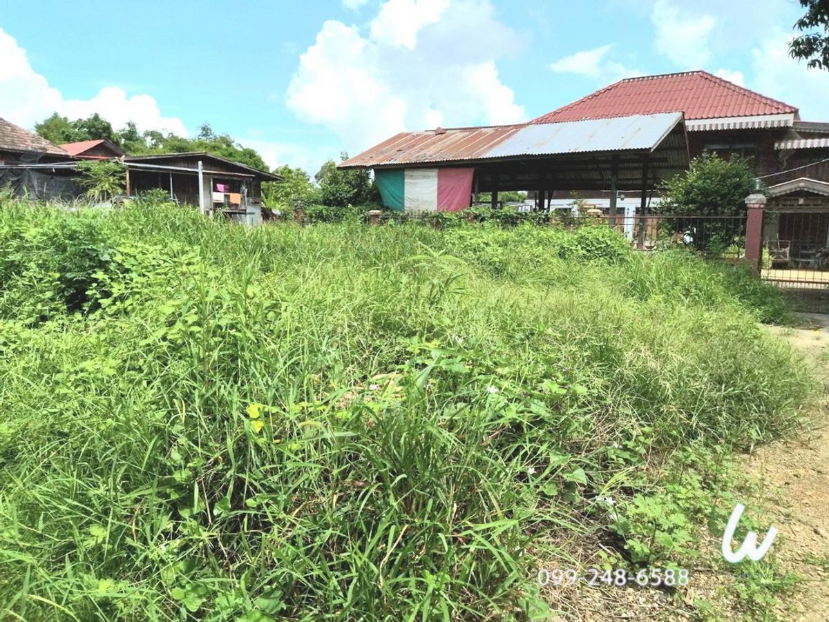 ขายที่ดินลพบุรี : ขายที่ดิน ท่าวุ้ง ลพบุรี 40 ตรว. เหมาะเป็นที่พักอาศัย
