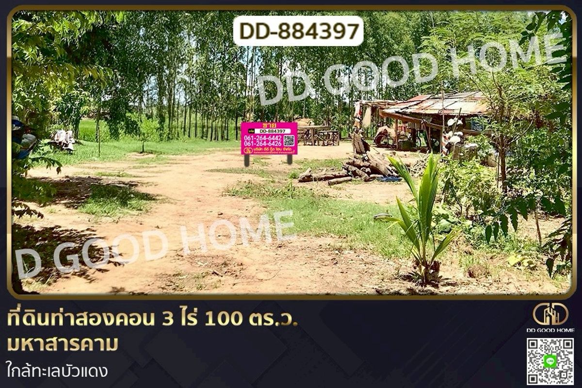 ขายที่ดินมหาสารคาม : DD-884397 ที่ดินท่าสองคอน 3 ไร่ 100 ตร.ว. มหาสารคาม ใกล้ทะเลบัวแดง