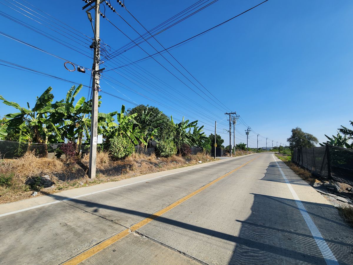 ขายที่ดินพุทธมณฑล ศาลายา : ขายด่วน📣 ที่ดินเปล่า 2แปลง ใกล้ ม.มหิดล ศาลายา🏘️ บ้านใหม่ บางเลน  💰ซื้อลงทุนก็ดี ปลูกบ้านอยู่อาศัยก็ได้🏡
