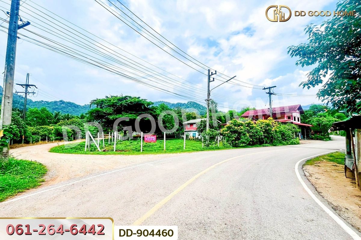 ขายที่ดินโคราช นครราชสีมา : DD-904460 ที่ดินปากช่อง 2 ไร่ 164 ตร.ว. นครราชสีมา ใกล้วัดซับใต้