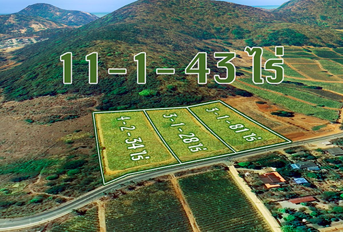 ขายที่ดินหัวหิน ประจวบคีรีขันธ์ : ที่ดินปราณบุรี ประจวบคีรีขันธ์ ทำเลทอง แปลงสวยที่สุด 