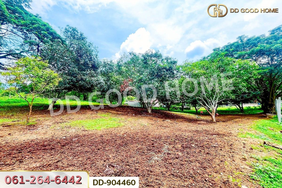 ขายที่ดินโคราช นครราชสีมา : DD-904460 ที่ดินปากช่อง 2 ไร่ 164 ตร.ว. นครราชสีมา ใกล้วัดซับใต้