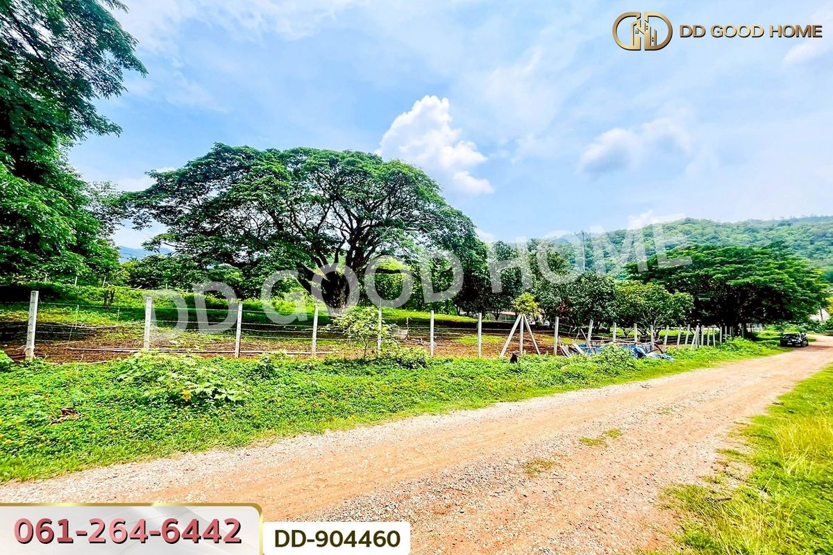 ขายที่ดินโคราช นครราชสีมา : DD-904460 ที่ดินปากช่อง 2 ไร่ 164 ตร.ว. นครราชสีมา ใกล้วัดซับใต้