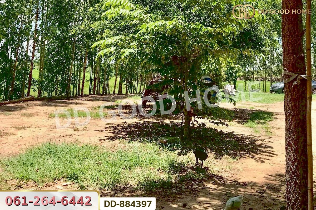 ขายที่ดินมหาสารคาม : DD-884397 ที่ดินท่าสองคอน 3 ไร่ 100 ตร.ว. มหาสารคาม ใกล้ทะเลบัวแดง