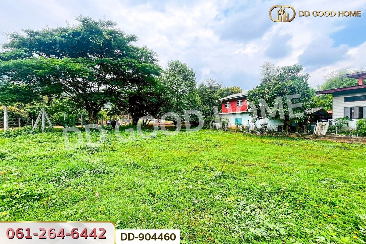 ขายที่ดินโคราช นครราชสีมา : DD-904460 ที่ดินปากช่อง 2 ไร่ 164 ตร.ว. นครราชสีมา ใกล้วัดซับใต้