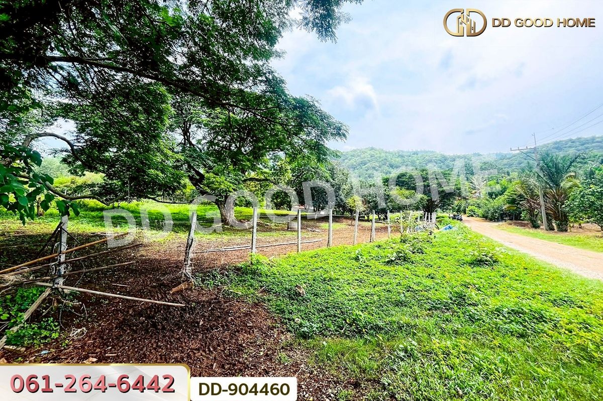 ขายที่ดินโคราช นครราชสีมา : DD-904460 ที่ดินปากช่อง 2 ไร่ 164 ตร.ว. นครราชสีมา ใกล้วัดซับใต้