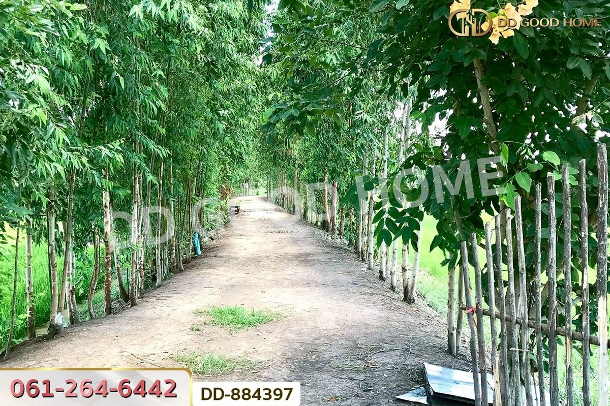 ขายที่ดินมหาสารคาม : DD-884397 ที่ดินท่าสองคอน 3 ไร่ 100 ตร.ว. มหาสารคาม ใกล้ทะเลบัวแดง