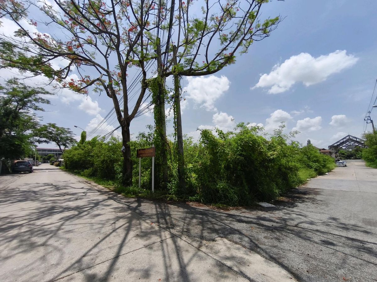 For SaleLandPhutthamonthon, Salaya : Land for sale in Bang Krak 154 and then on 2 public roads