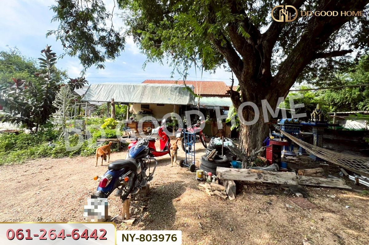 ขายบ้านพัทยา บางแสน ชลบุรี สัตหีบ : NY-803976 บ้านเดี่ยว ศรีราชา ชลบุรี ใกล้โรงกลั่นน้ำมันไทยออยล์