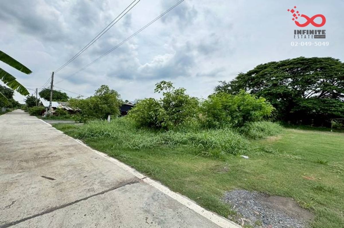 ขายที่ดินปทุมธานี รังสิต ธรรมศาสตร์ : ขายที่ดิน 200 ตารางวา คลองหก ปทุมธานี  แปลงสวย รูปสี่เหลี่ยม ใกล้ราชมงคลธัญบุรี เหมาะปลูกบ้าน