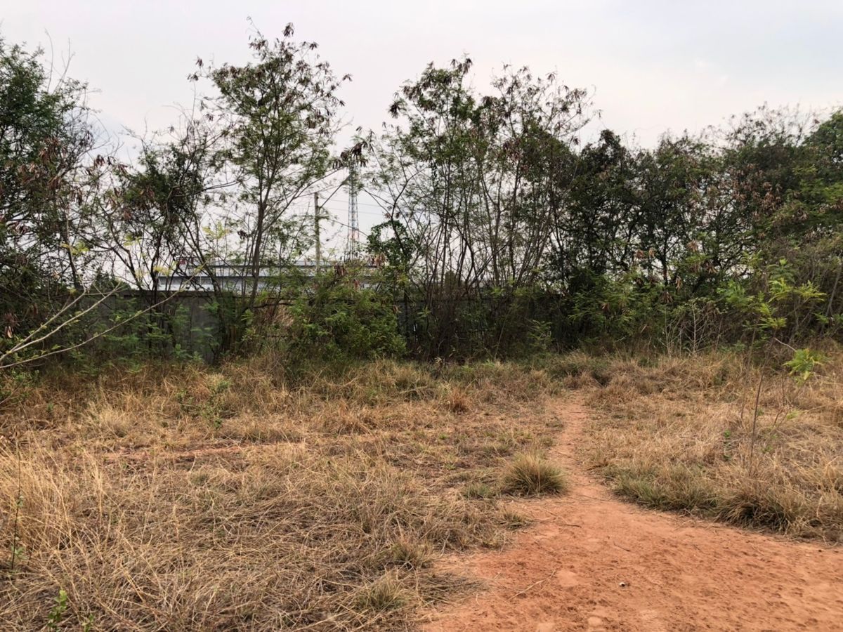 ขายที่ดินโคราช นครราชสีมา : ขายที่ดินเปล่า  19 ไร่ 78 ตารางวา  หลังโรงเรียนจอหอ  ถ.มิตรภาพ3/1  สุรนารายณ์ซ.12  ต.จอหอ  อ.เมือง  นครราชสีมา