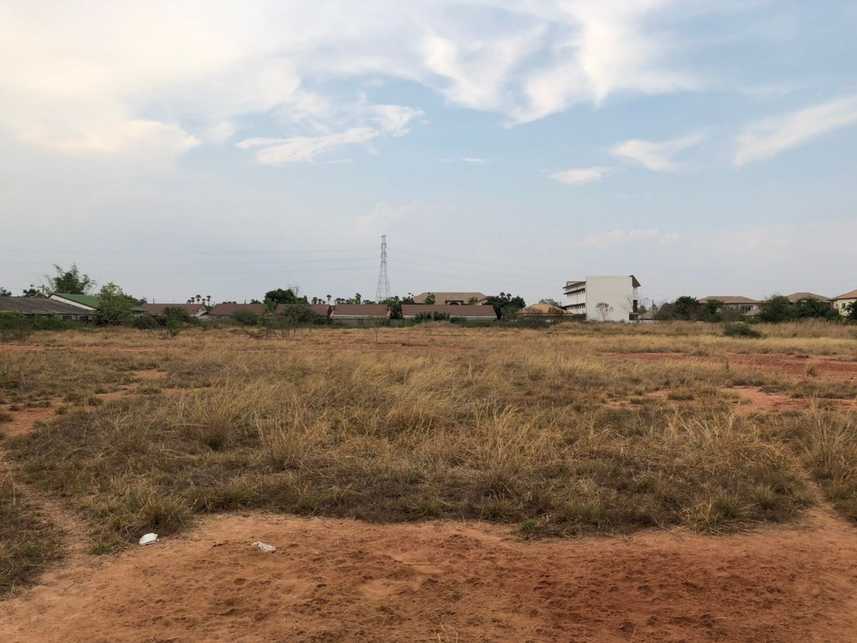 ขายที่ดินโคราช นครราชสีมา : ขายที่ดินเปล่า  19 ไร่ 78 ตารางวา  หลังโรงเรียนจอหอ  ถ.มิตรภาพ3/1  สุรนารายณ์ซ.12  ต.จอหอ  อ.เมือง  นครราชสีมา