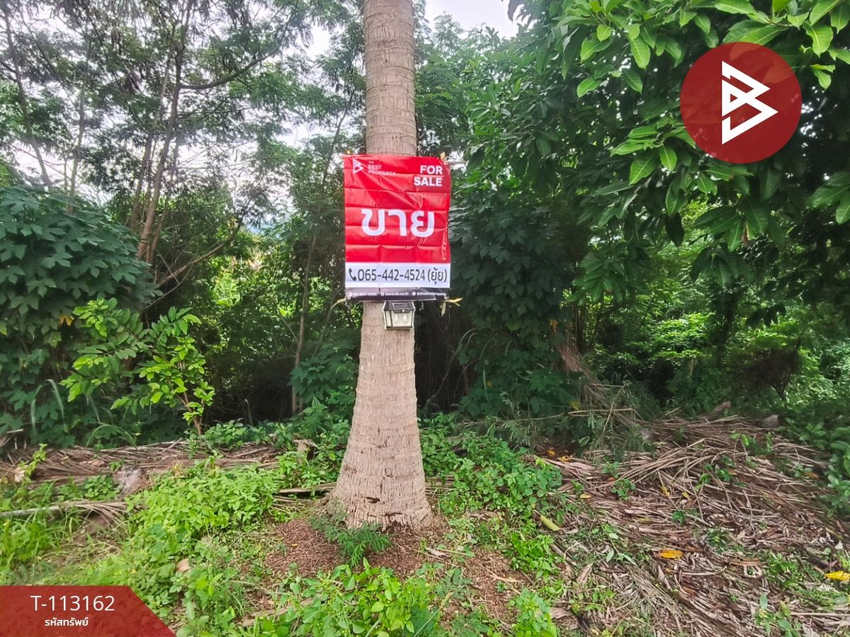 ขายที่ดินจันทบุรี : ขายที่ดิน เนื้อที่ 3 งาน 82 ตร.วา สอยดาว จันทบุรี
