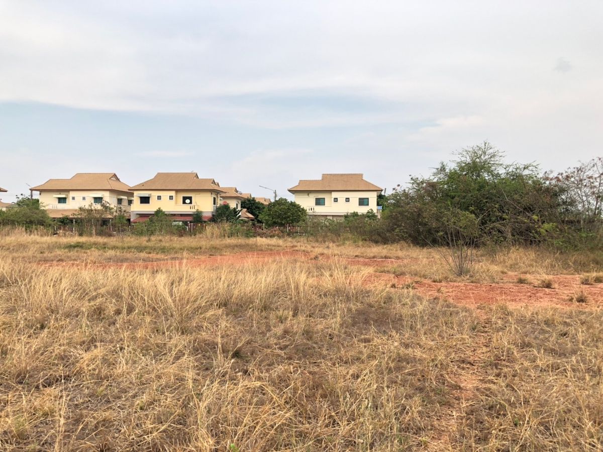 ขายที่ดินโคราช นครราชสีมา : ขายที่ดินเปล่า  19 ไร่ 78 ตารางวา  หลังโรงเรียนจอหอ  ถ.มิตรภาพ3/1  สุรนารายณ์ซ.12  ต.จอหอ  อ.เมือง  นครราชสีมา