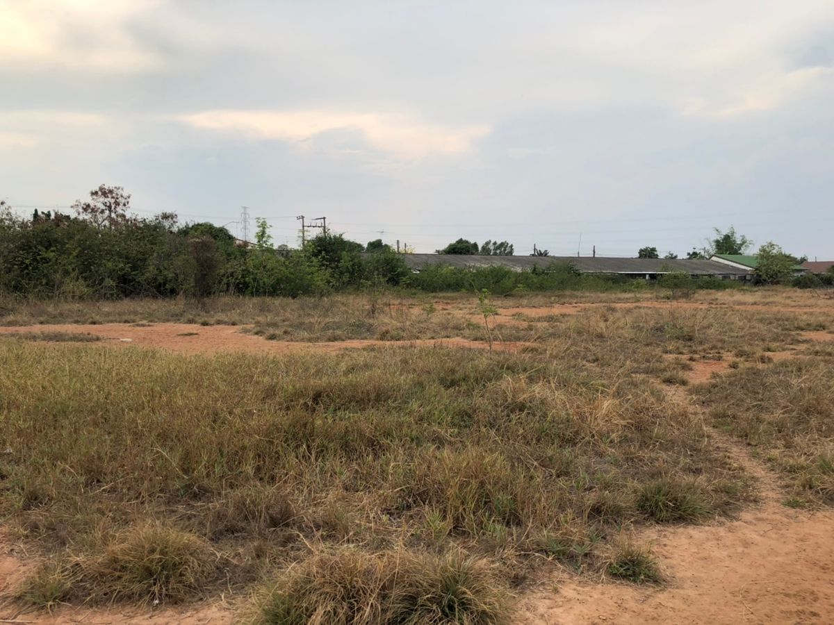 ขายที่ดินโคราช นครราชสีมา : ขายที่ดินเปล่า  19 ไร่ 78 ตารางวา  หลังโรงเรียนจอหอ  ถ.มิตรภาพ3/1  สุรนารายณ์ซ.12  ต.จอหอ  อ.เมือง  นครราชสีมา