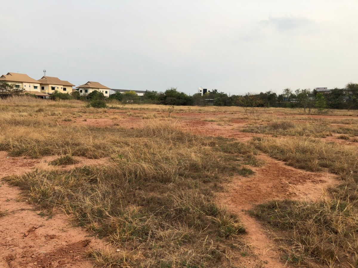 ขายที่ดินโคราช นครราชสีมา : ขายที่ดินเปล่า  19 ไร่ 78 ตารางวา  หลังโรงเรียนจอหอ  ถ.มิตรภาพ3/1  สุรนารายณ์ซ.12  ต.จอหอ  อ.เมือง  นครราชสีมา