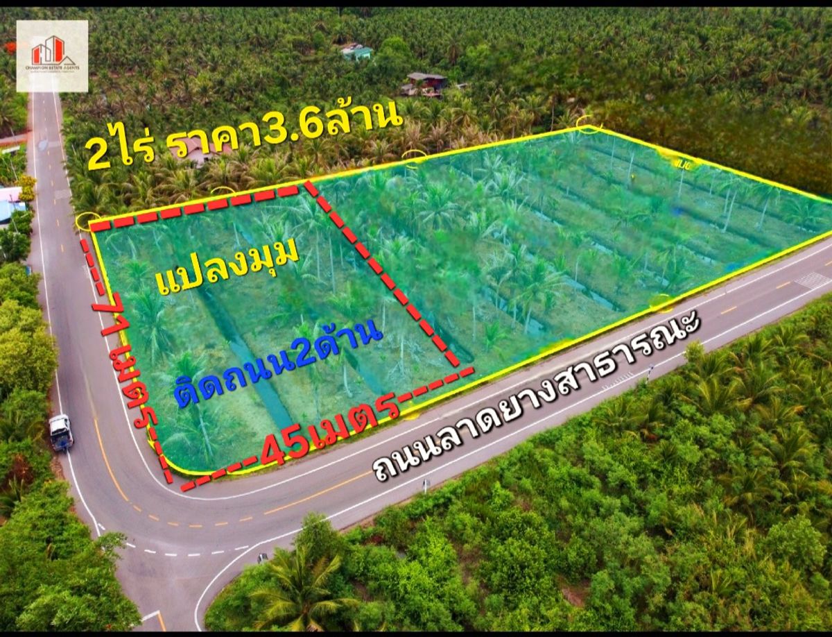 ขายที่ดินสมุทรสงคราม : 🪴แบ่งขายที่ดิน2ไร่ 🪴แปลงมุมสวย🪴ขนาด​ 71x45 เมตร🪴. สอบถามได้ตลอด​ 089-8147024​