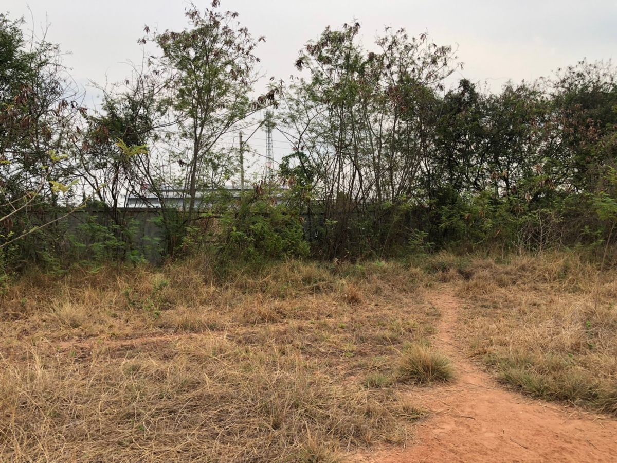 ขายที่ดินโคราช นครราชสีมา : ขายที่ดินเปล่า  19 ไร่ 78 ตารางวา  หลังโรงเรียนจอหอ  ถ.มิตรภาพ3/1  สุรนารายณ์ซ.12  ต.จอหอ  อ.เมือง  นครราชสีมา