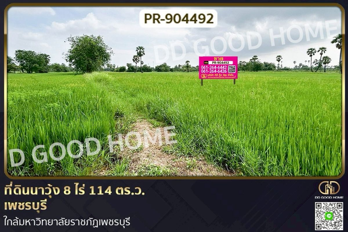 ขายที่ดินชะอำ เพชรบุรี : PR-904492 ที่ดินนาวุ้ง 8 ไร่ 114 ตร.ว. เพชรบุรี ใกล้มหาวิทยาลัยราชภัฏเพชรบุรี