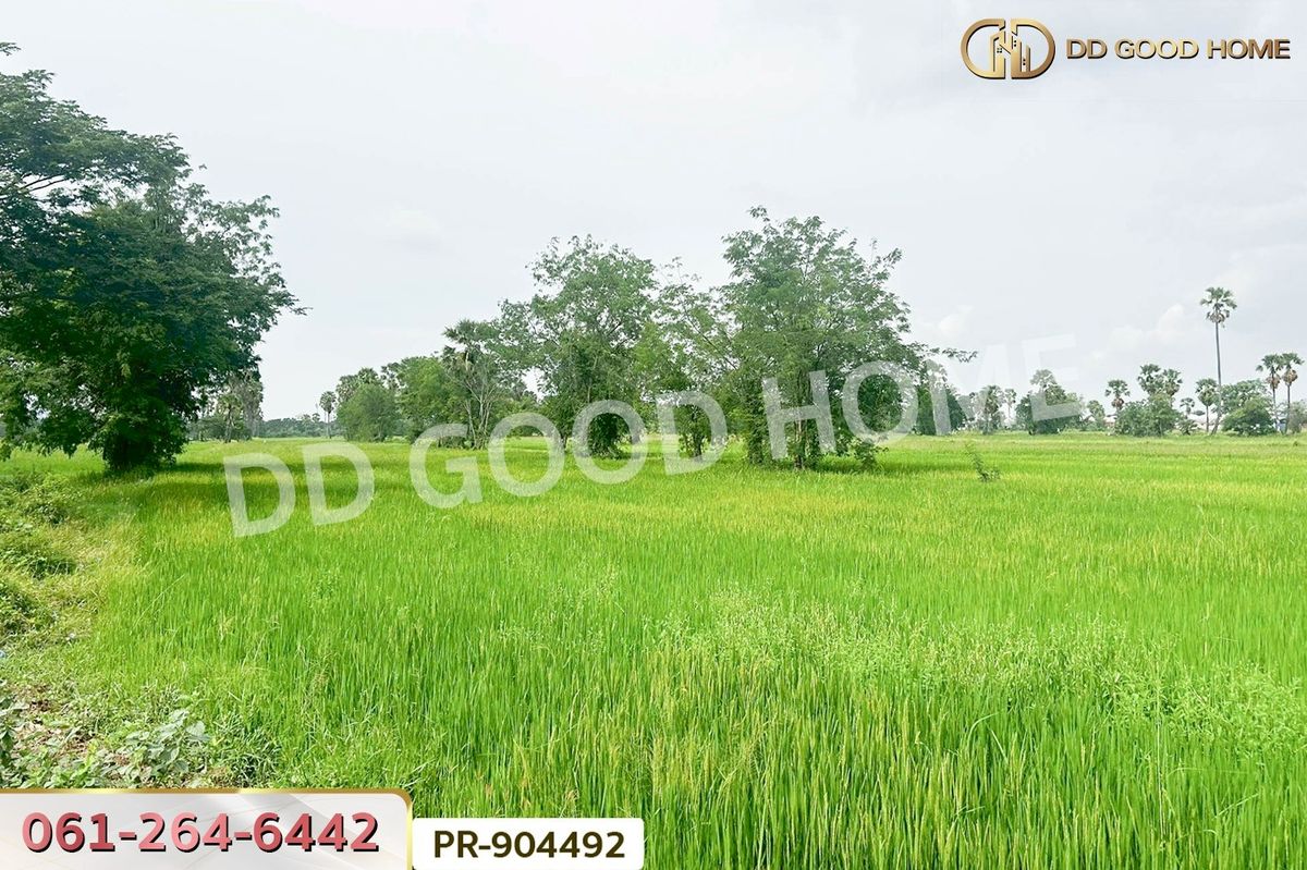 ขายที่ดินชะอำ เพชรบุรี : WR-904492 ที่ดินนาวุ้ง 8 ไร่ 114 ตร.ว. เพชรบุรี ใกล้มหาวิทยาลัยราชภัฏเพชรบุรี