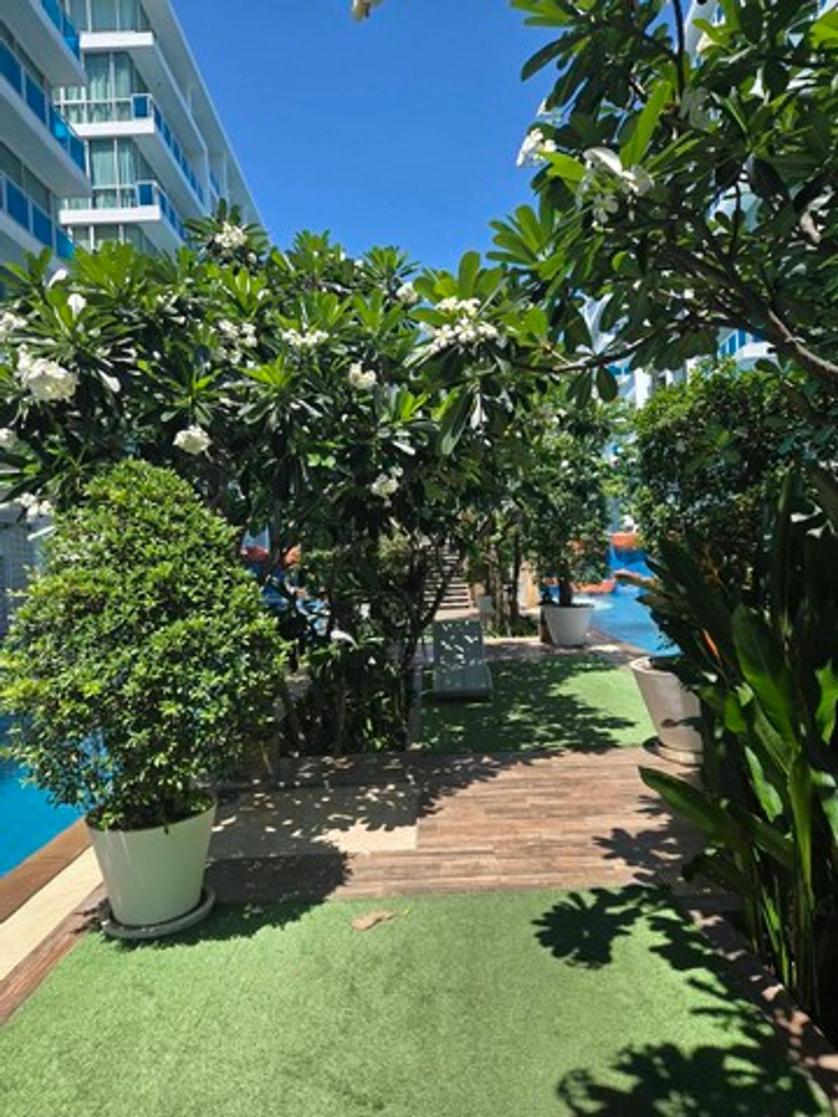 คอนโดหัวหิน ประจวบคีรีขันธ์ :   คอนโด My Resort หัวหิน โอกาสทองของนักลงทุน!วิวสระ ขายต่ำกว่าราคาประเมิน กำไรตั้งแต่วันโอน! หรือเช่าก็สุดยอด