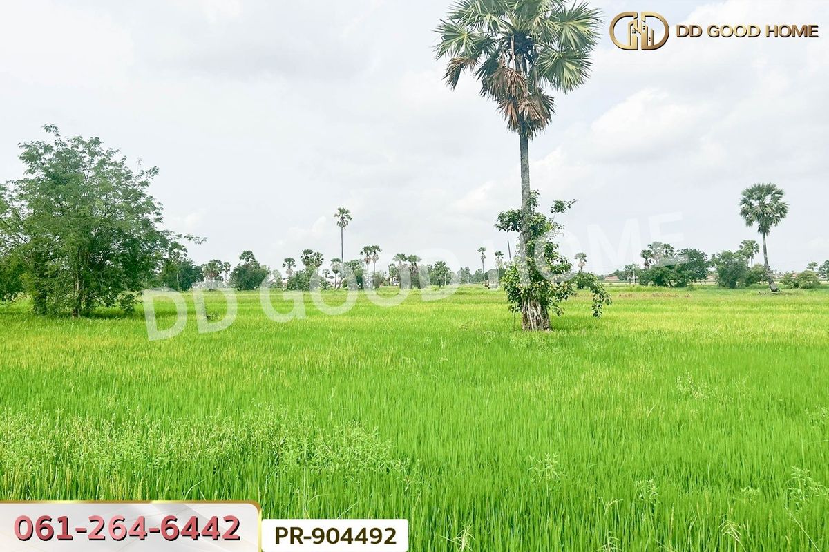 ขายที่ดินชะอำ เพชรบุรี : WR-904492 ที่ดินนาวุ้ง 8 ไร่ 114 ตร.ว. เพชรบุรี ใกล้มหาวิทยาลัยราชภัฏเพชรบุรี