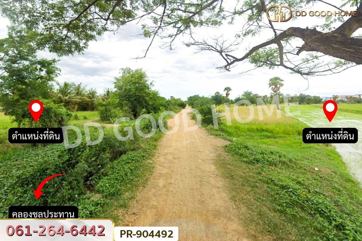 ขายที่ดินชะอำ เพชรบุรี : WR-904492 ที่ดินนาวุ้ง 8 ไร่ 114 ตร.ว. เพชรบุรี ใกล้มหาวิทยาลัยราชภัฏเพชรบุรี