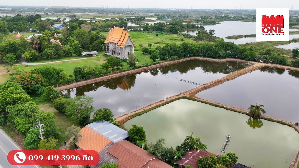 ขายที่ดินนครปฐม : ขายด่วนราคาพิเศษ! ที่ดินเปล่าแปลงสวย ขนาด 5 ไร่ 1 งาน ตำบลสระสี่มุม กำแพงแสน นครปฐม ปัจจุบันทำกิจการบ่อกุ้ง ซื้อแล้วสามารถต่อยอดหรือทำกิจการบ่อกุ้งต่อได้เลย