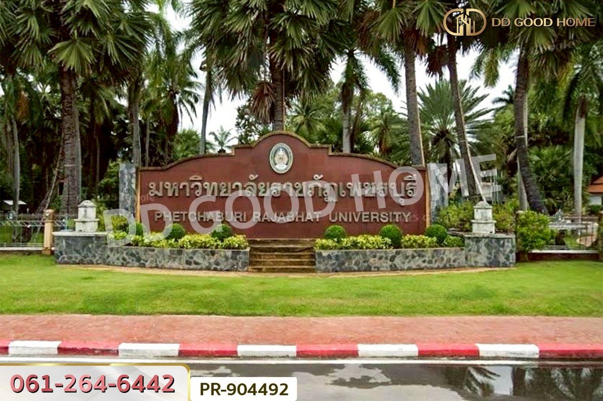 ขายที่ดินชะอำ เพชรบุรี : WR-904492 ที่ดินนาวุ้ง 8 ไร่ 114 ตร.ว. เพชรบุรี ใกล้มหาวิทยาลัยราชภัฏเพชรบุรี