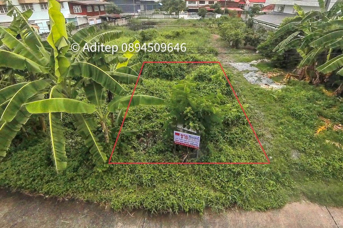 ขายที่ดินปทุมธานี รังสิต ธรรมศาสตร์ : ขายที่ดินเปล่า 47.5 ตร.วา คูคต ลำลูกกา ใกล้ BTS แค่ 4.5 กม. อยู่ในเขตชุมชน ซอยจามร 31/3 ติดถนนคอนกรีต เหมาะปลูกบ้านอยู่อาศัย 