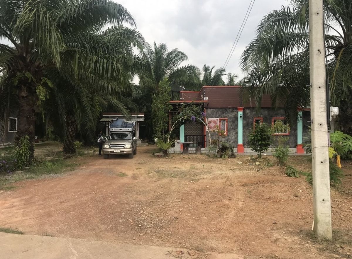 For SaleHouseNakhon Si Thammarat : Single house for sale in Nakhon Si Thammarat with land, area 1 ngan 77 sq m., with a small house. Ron Phibun District Nakhon Si Thammarat Province, beautiful house, good atmosphere, view of rice fields and mountains, near Khuha Sawan Waterfall, Khao Chum 
