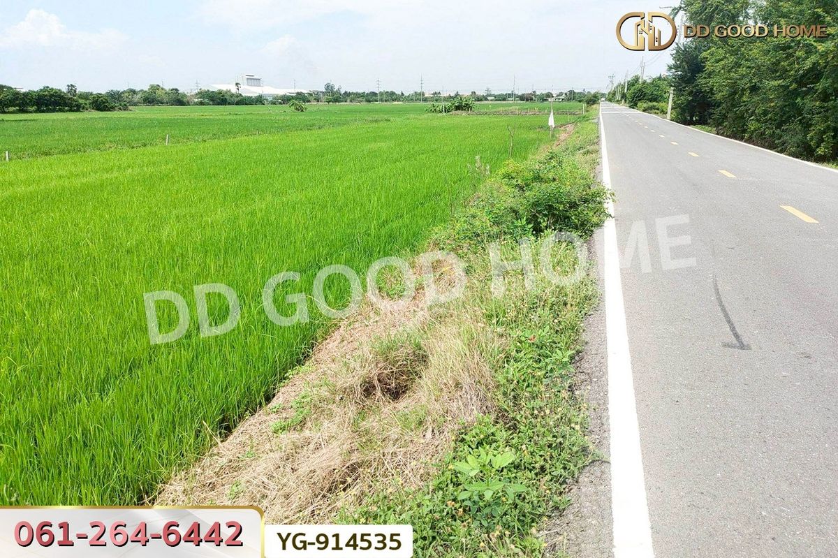 ที่ดินนนทบุรี บางใหญ่ บางบัวทอง : GF-914535 ที่ดินไทรน้อย 200 ตร.ว. นนทบุรี ใกล้วัดปลายคลองขุนศรี