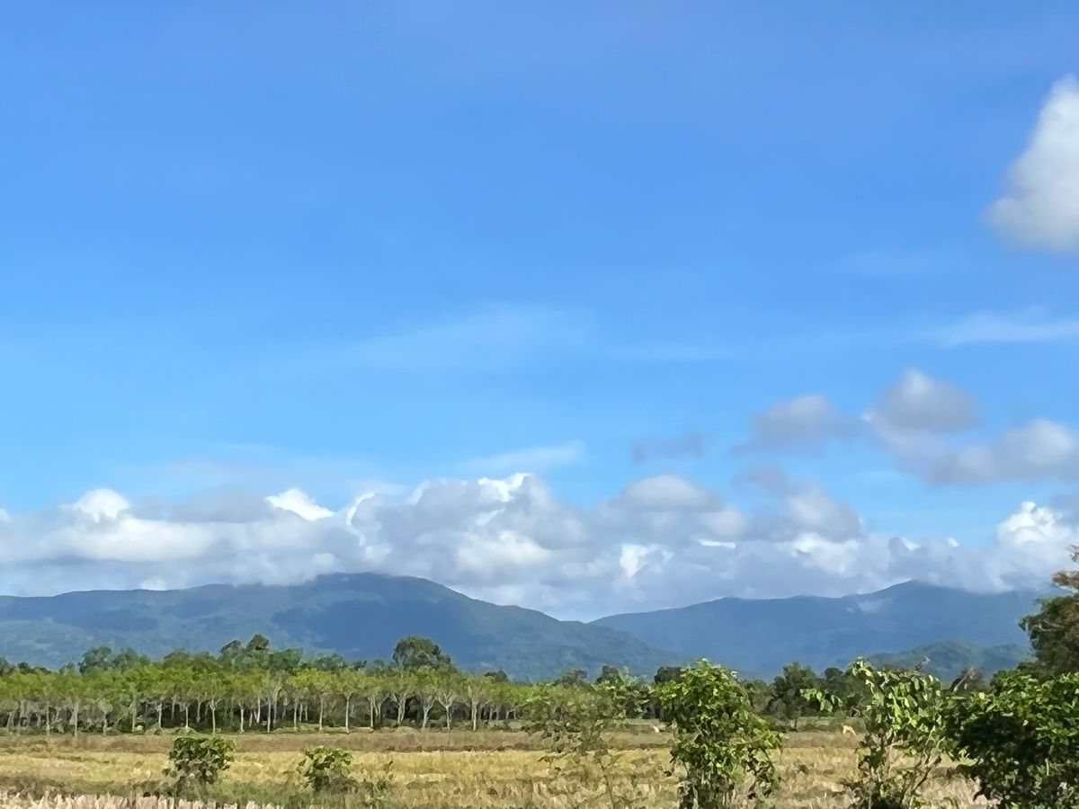 ขายบ้านนครศรีธรรมราช : ขาย บ้านเดี่ยว นครศรีธรรมราช พร้อมที่ดิน เนื้อที่ 1 งาน 77 ตรว. พร้อมบ้านหลังเล็กหนึ่งหลัง อ.ร่อนพิบูลย์ จ.นครศรีธรรมราช บ้านสวย บรรยากาศดี วิวทุ่งนา ภูเขา ใกล้น้ำตกคูหาสวรรค์, สถานีรถไฟชุมทางเขาชุมทอง, บ้านเดี่ยว, ร่อนพิบูลย์, นครศรีธรรมราช,