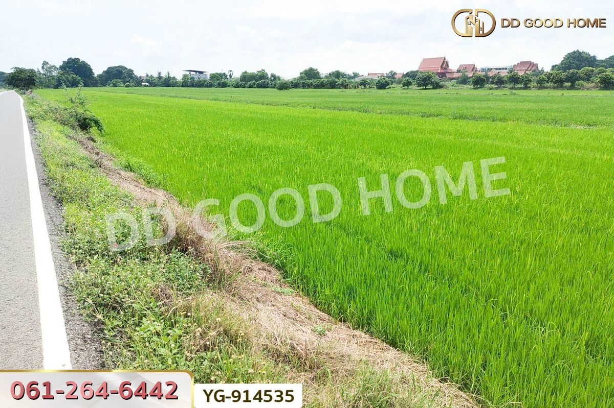 ที่ดินนนทบุรี บางใหญ่ บางบัวทอง : GF-914535 ที่ดินไทรน้อย 200 ตร.ว. นนทบุรี ใกล้วัดปลายคลองขุนศรี