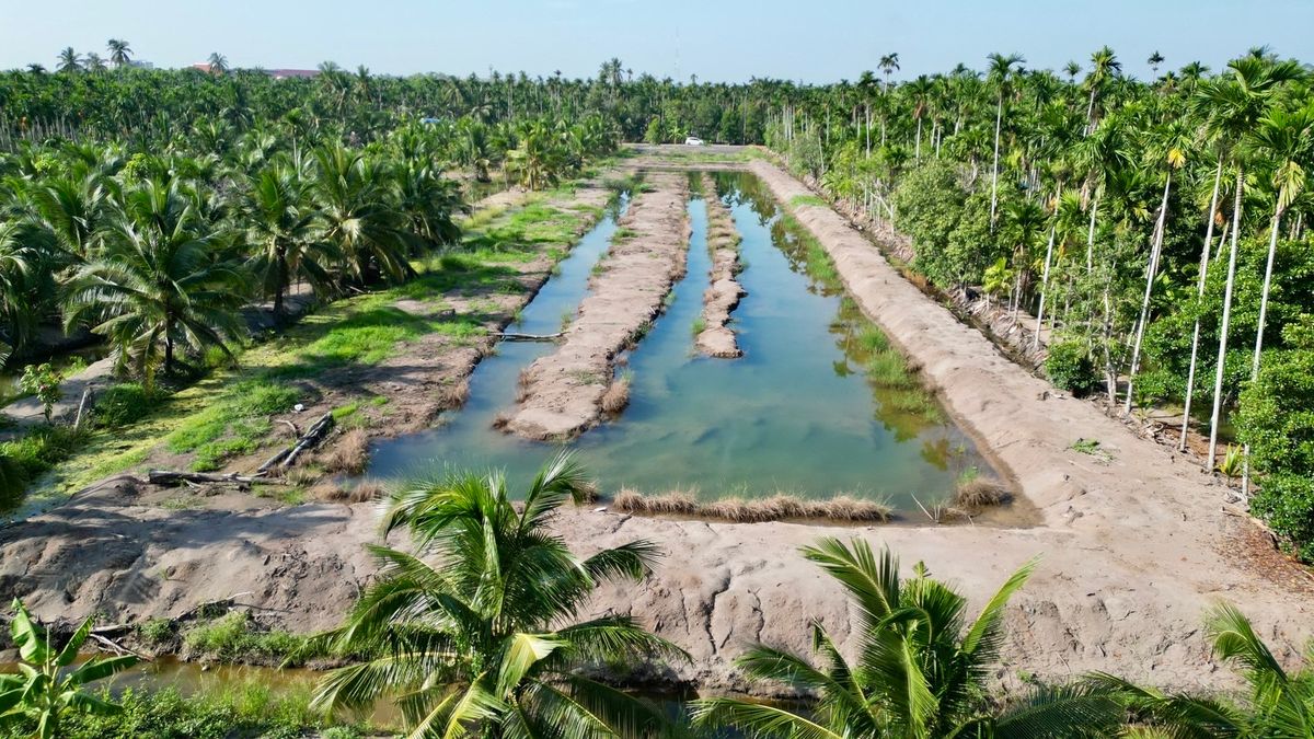 ให้เช่าที่ดินฉะเชิงเทรา : ให้เช่าที่ดินสวน 3 ไร่กว่า ทำคาเฟ่ ฟาร์มเกษตร โฮมสเตย์/แกลมปิ้ง มีแอ่งน้ำ บางตีนเป็ด ห่าง 1.4 กม จากถนนใหญ่ ฉะเชิงเทรา