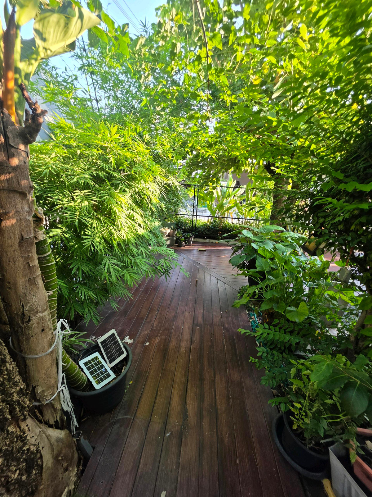 บ้านลาดกระบัง สุวรรณภูมิ : ขาย/เช่า มัณฑนา อ่อนนุช-วงแหวน 3 