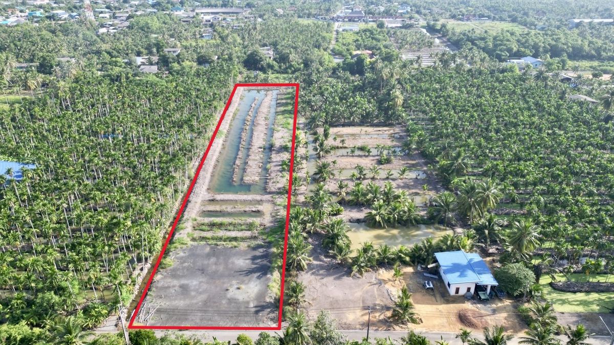 ให้เช่าที่ดินฉะเชิงเทรา : ให้เช่าที่ดินสวน 3 ไร่กว่า ทำคาเฟ่ ฟาร์มเกษตร โฮมสเตย์/แกลมปิ้ง มีแอ่งน้ำ บางตีนเป็ด ห่าง 1.4 กม จากถนนใหญ่ ฉะเชิงเทรา