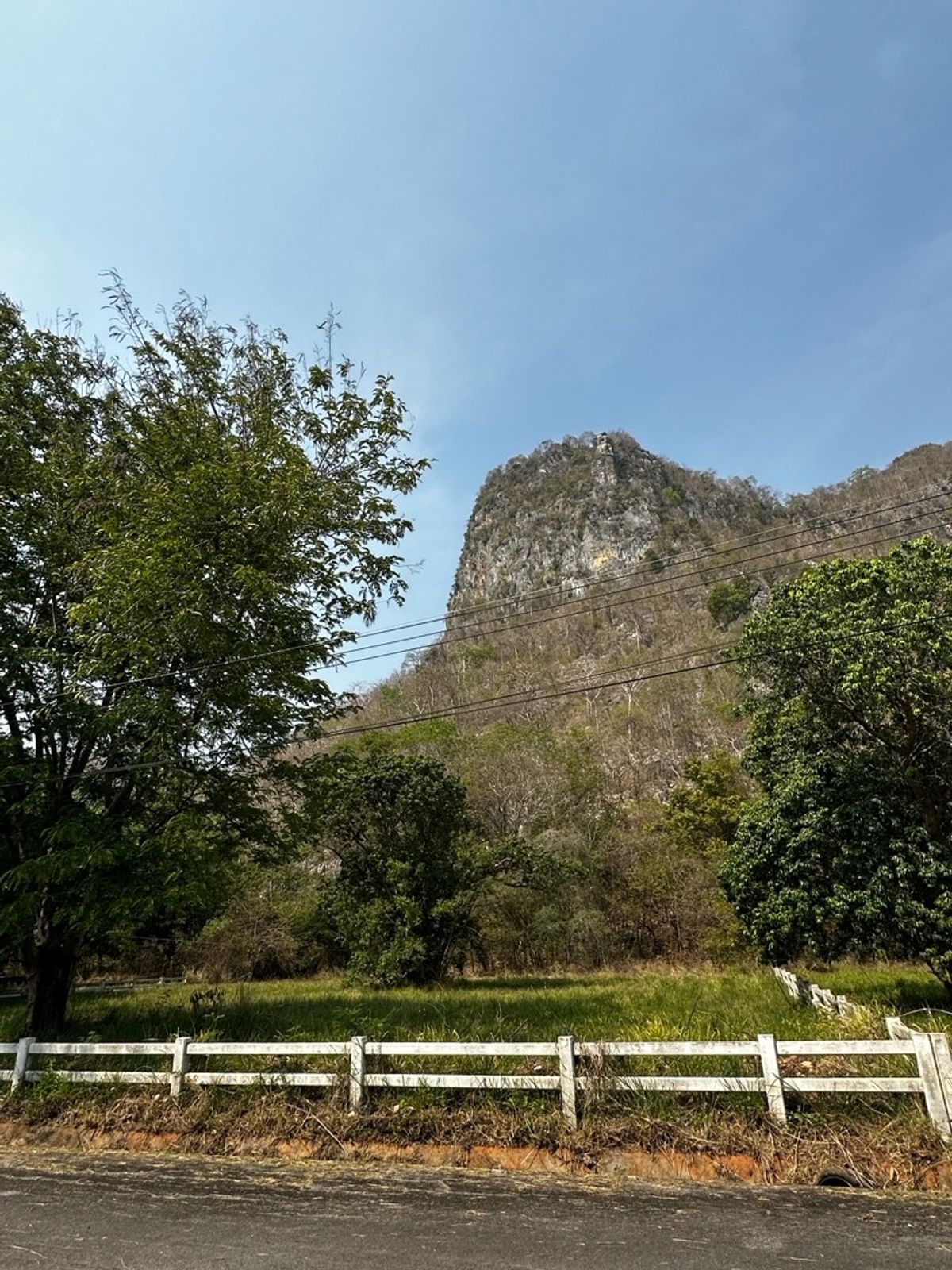 ขายที่ดินปากช่อง เขาใหญ่ : ขายที่จัดสรรแล้ว ในโครงการ เขาลอยรีสอร์ท 