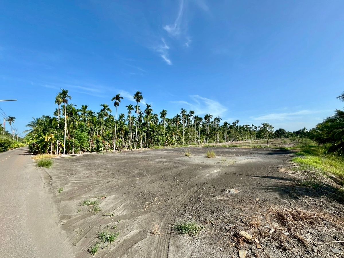 ให้เช่าที่ดินฉะเชิงเทรา : ให้เช่าที่ดินสวน 3 ไร่กว่า ทำคาเฟ่ ฟาร์มเกษตร โฮมสเตย์/แกลมปิ้ง มีแอ่งน้ำ บางตีนเป็ด ห่าง 1.4 กม จากถนนใหญ่ ฉะเชิงเทรา