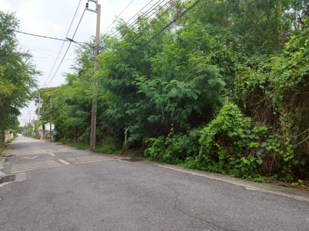 ขายที่ดินนวมินทร์ รามอินทรา : ขายที่ดิน 184 ตร.ว. ซ.คู้บอน 13 ตรงข้ามทิพย์ทอง อพาร์ทเมนท์ ใกล้ถนนคู้บอน