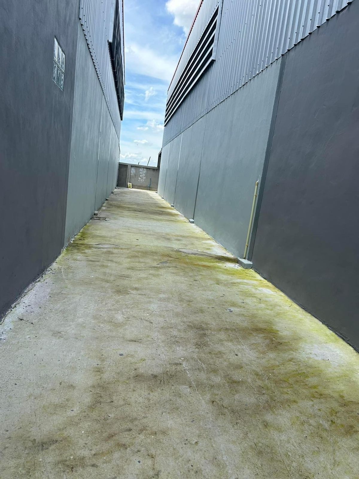 For RentFactoryPathum Thani,Rangsit, Thammasat : Rent a warehouse for Lam Luk Ka Khlong 7, area of ​​140 sq. Wah. Can request a new license 2, clean, storage is suitable.