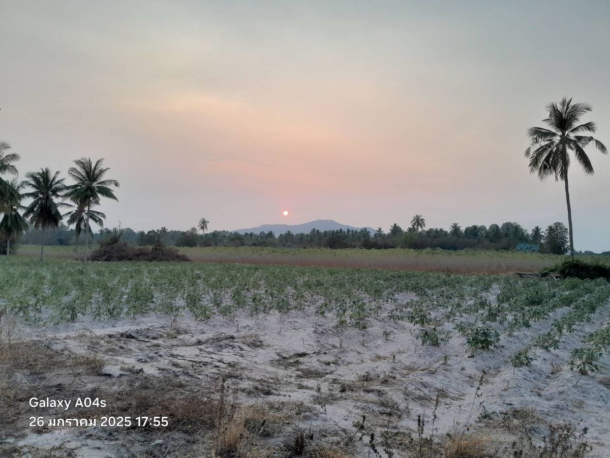 ขายที่ดินพัทยา บางแสน ชลบุรี สัตหีบ : ขายที่ดินเปล่า ทำเลทอง อำเภอศรีราชา จังหวัดชลบุรี