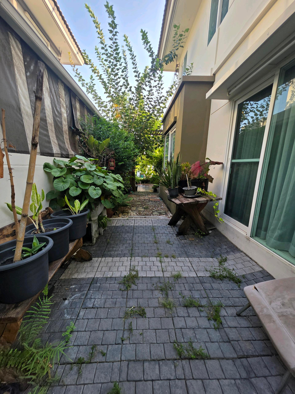 บ้านลาดกระบัง สุวรรณภูมิ : ขาย/เช่า มัณฑนา อ่อนนุช-วงแหวน 3 