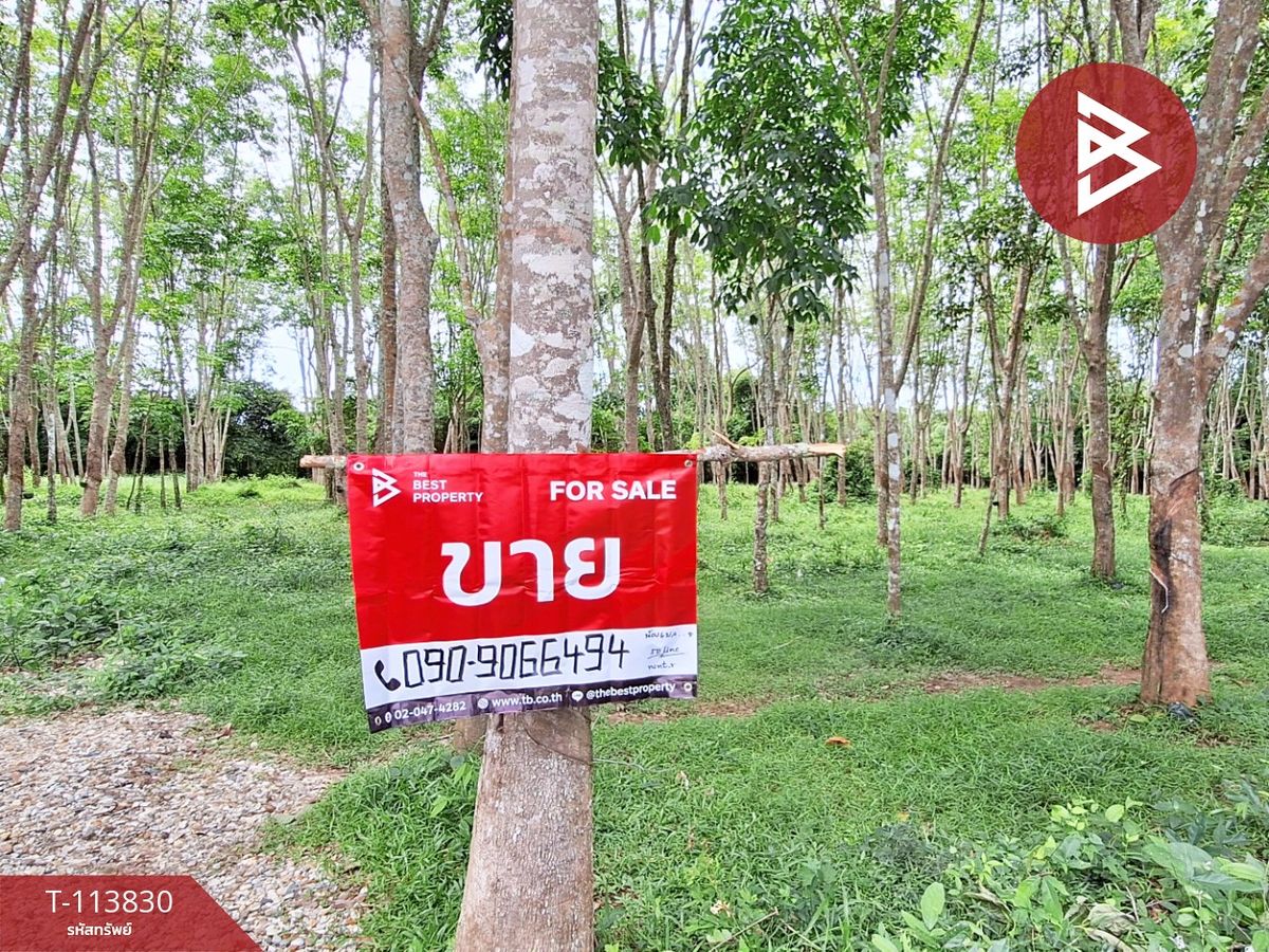 ขายที่ดินนครศรีธรรมราช : ขายที่ดิน เนื้อที่ 7 ไร่ 1 งาน 50 ตร.วา ท่าศาลา นครศรีธรรมราช
