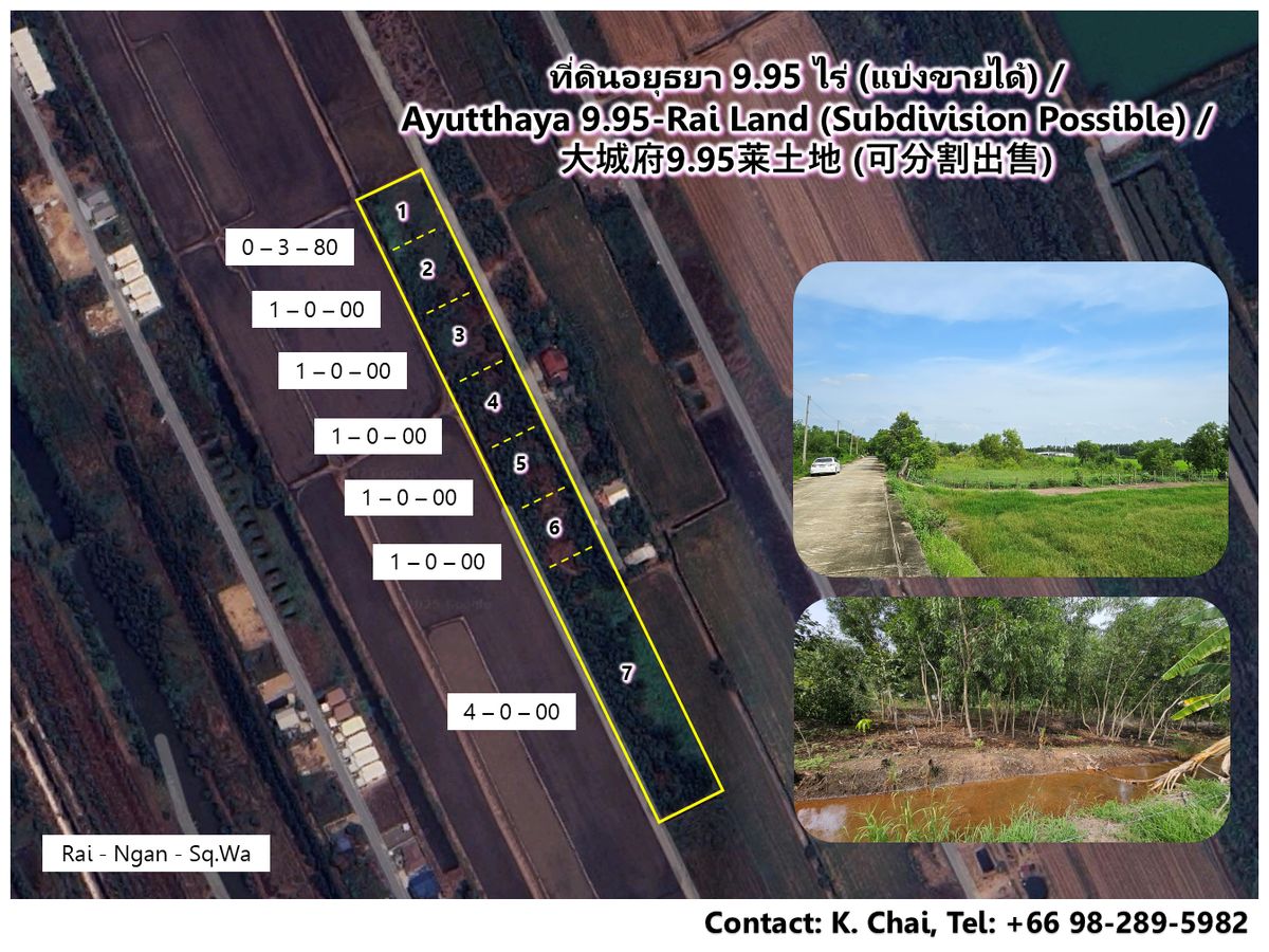ขายที่ดินอยุธยา : ที่ดินอยุธยา 9.95 ไร่ (แบ่งขายได้) / 大城府9.95莱土地 (可分割出售)