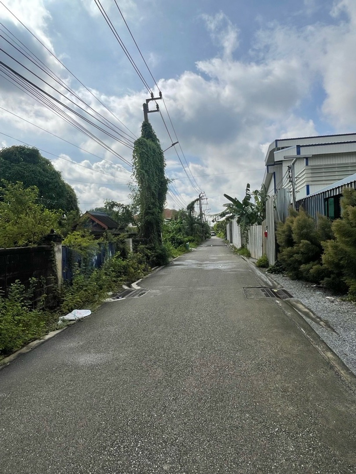 ขายที่ดินบางแค เพชรเกษม : ที่ดินเปล่า 2 ไร่ เพชรเกษม 81 ภาษีเจริญ